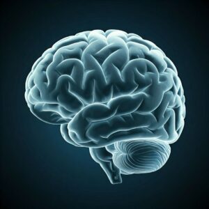 fisioterapista salerno